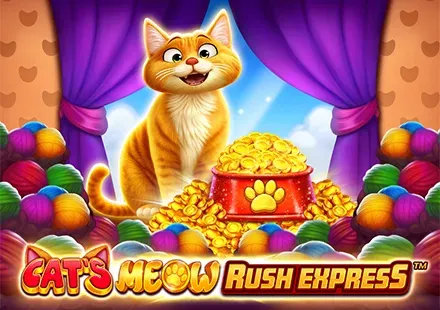 Cat's Meow Rush Express™ game thumbnail